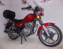 PROTETOR DIANT.ESTILO ORIGINAL P/SUZ. HAOJUE CHOPPER ROAD 150-PR