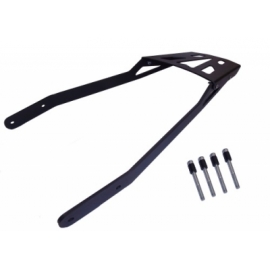 BAGAGEIRO CHAPA KAWASAKI NINJA 1000 2011-2017 (PFM)